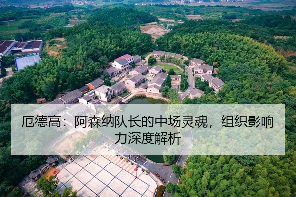 厄德高：阿森纳队长的中场灵魂，组织影响力深度解析